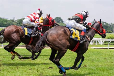 tatts results racing|Online Sports & Horse Racing Betting Australia .